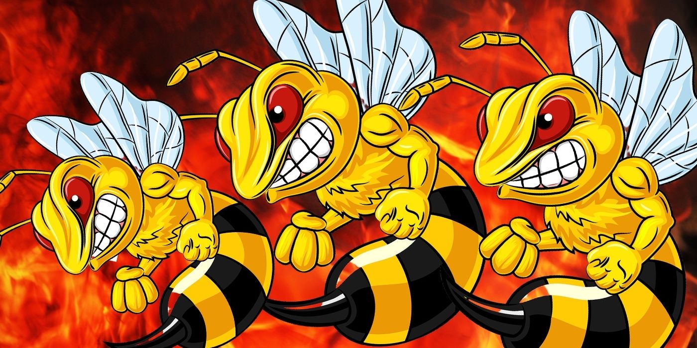 4 Reasons Bees Become Aggressive