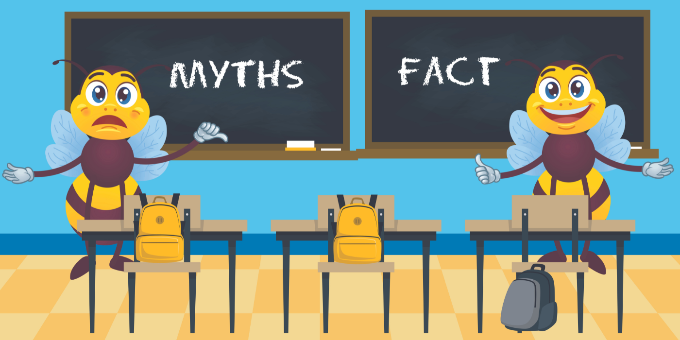 Beekeeping Myths and Misconceptions | Debunking Common Beliefs