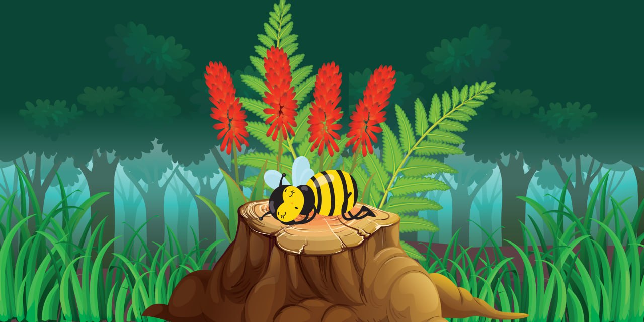 Beekeeping and Wildlife Habitat Enhancement | Creating Bee-Friendly Landscapes to Support Local Wildlife
