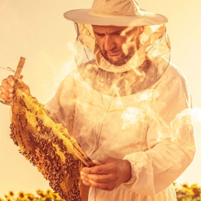 Keeping Hives Cool in the Heat