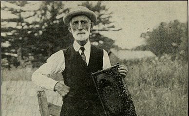 We, the Bee-people: Honey Bees in America