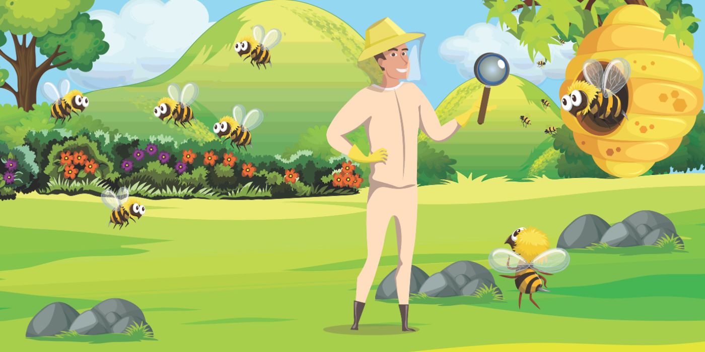 Hive Inspections in Spring | What Every Beekeeper Needs to Know