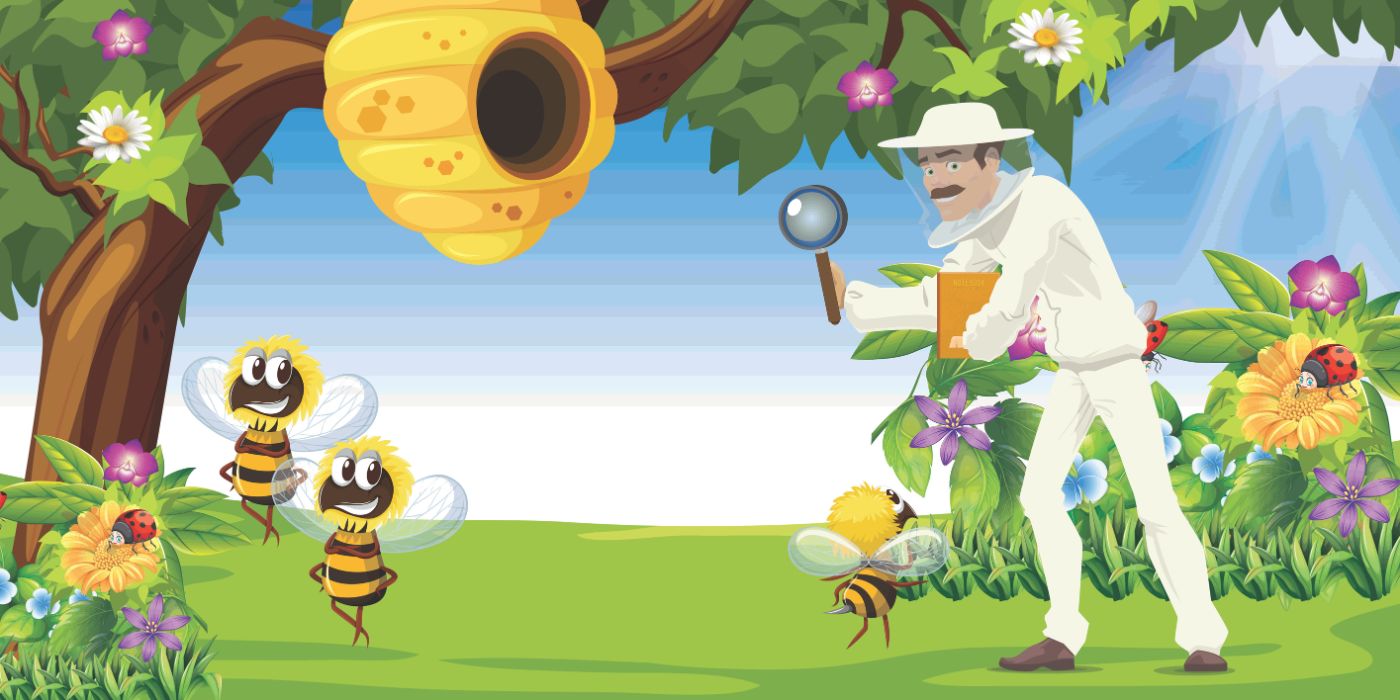 Inspecting Your Hive After Winter | What to Look For and How to Act