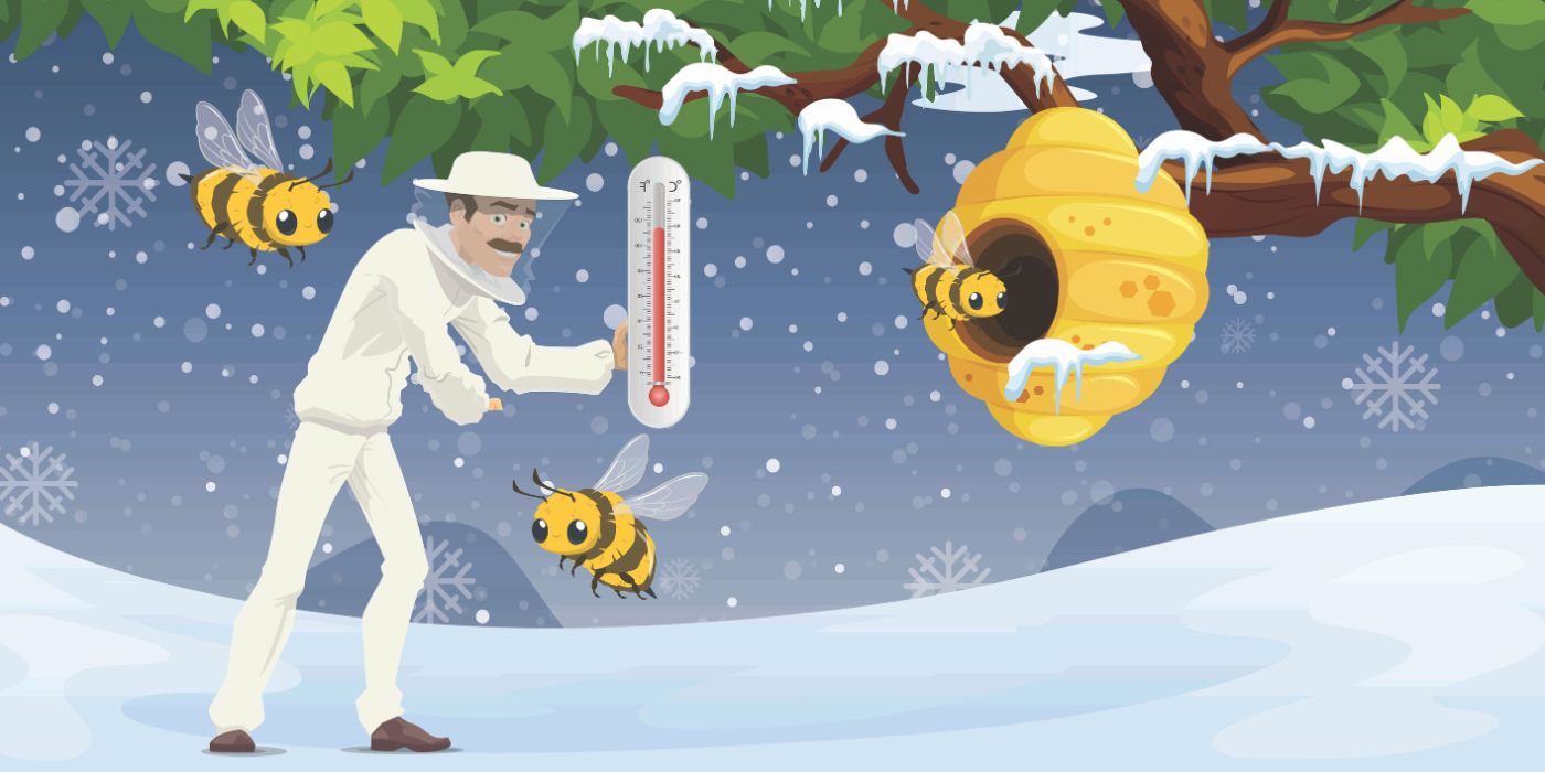 Monitoring Bee Health in Winter | Using Tech and Observational Tools