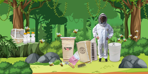 Selecting Hive Equipment - Tips to Starting Your Beekeeping Journey