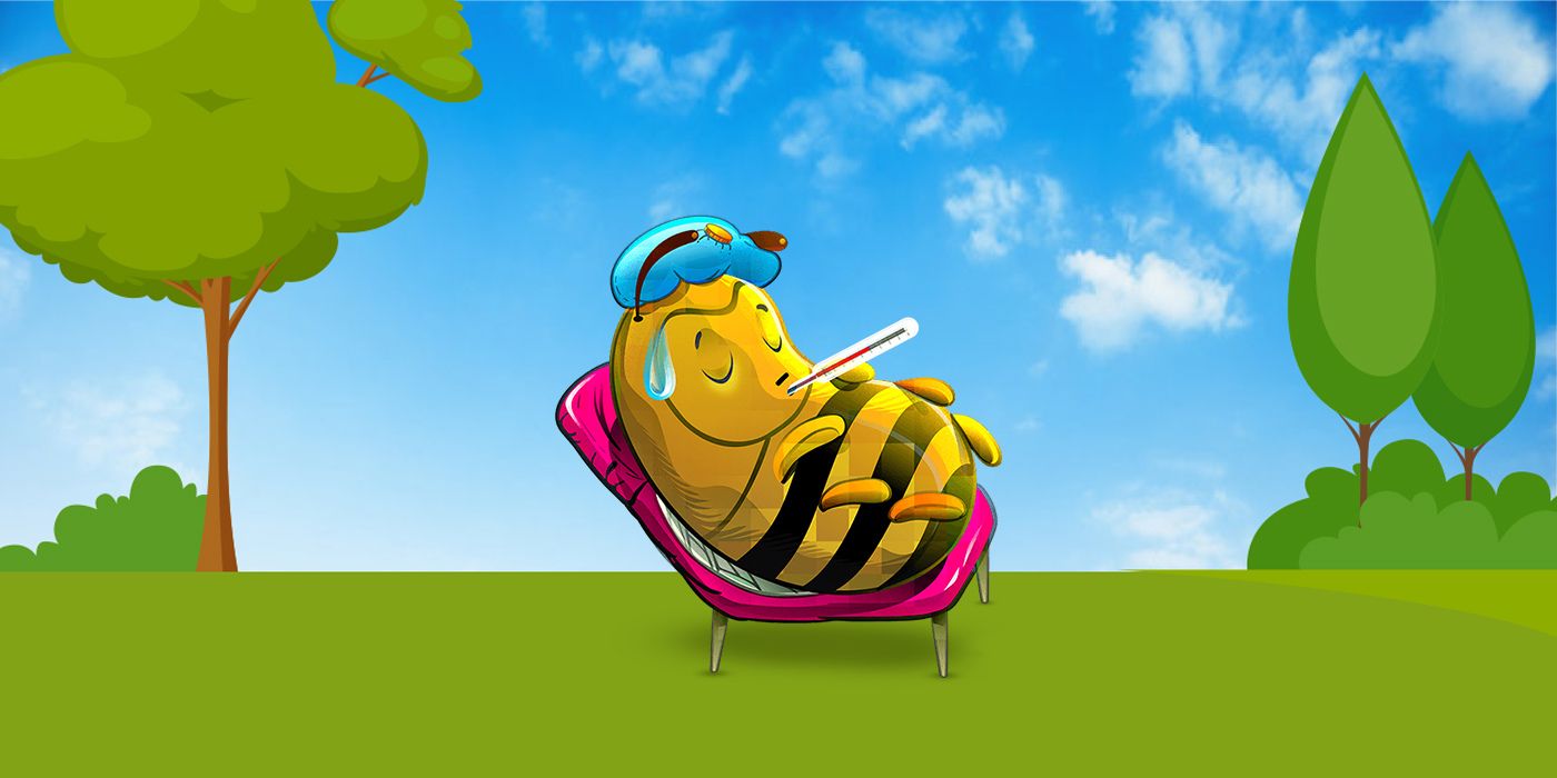 The Decline of Native Bee Species and its Implications