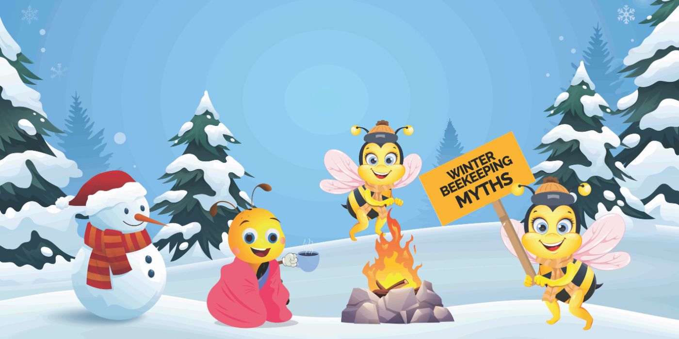 Winter Beekeeping Myths | Common Misconceptions and How to Avoid Them