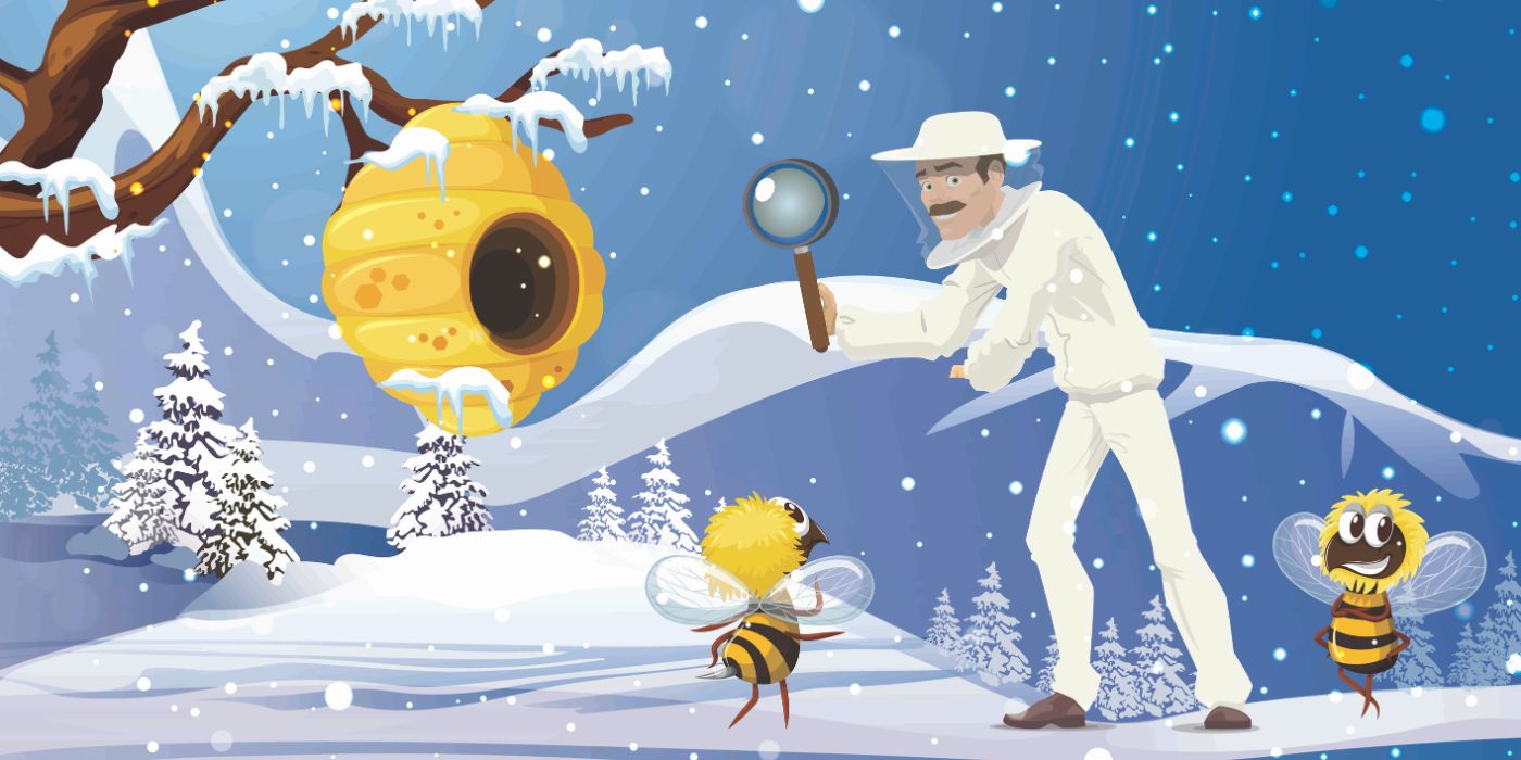 Winter Hive Inspections | What to Look For, Without Disturbing Your Bees
