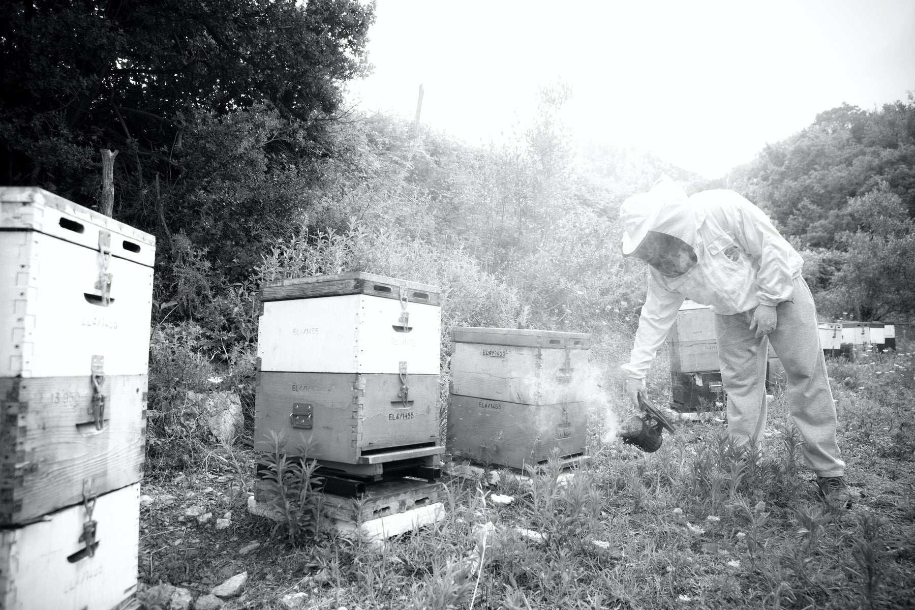 Fall Beekeeping - Preparing Your Hives for the Winter