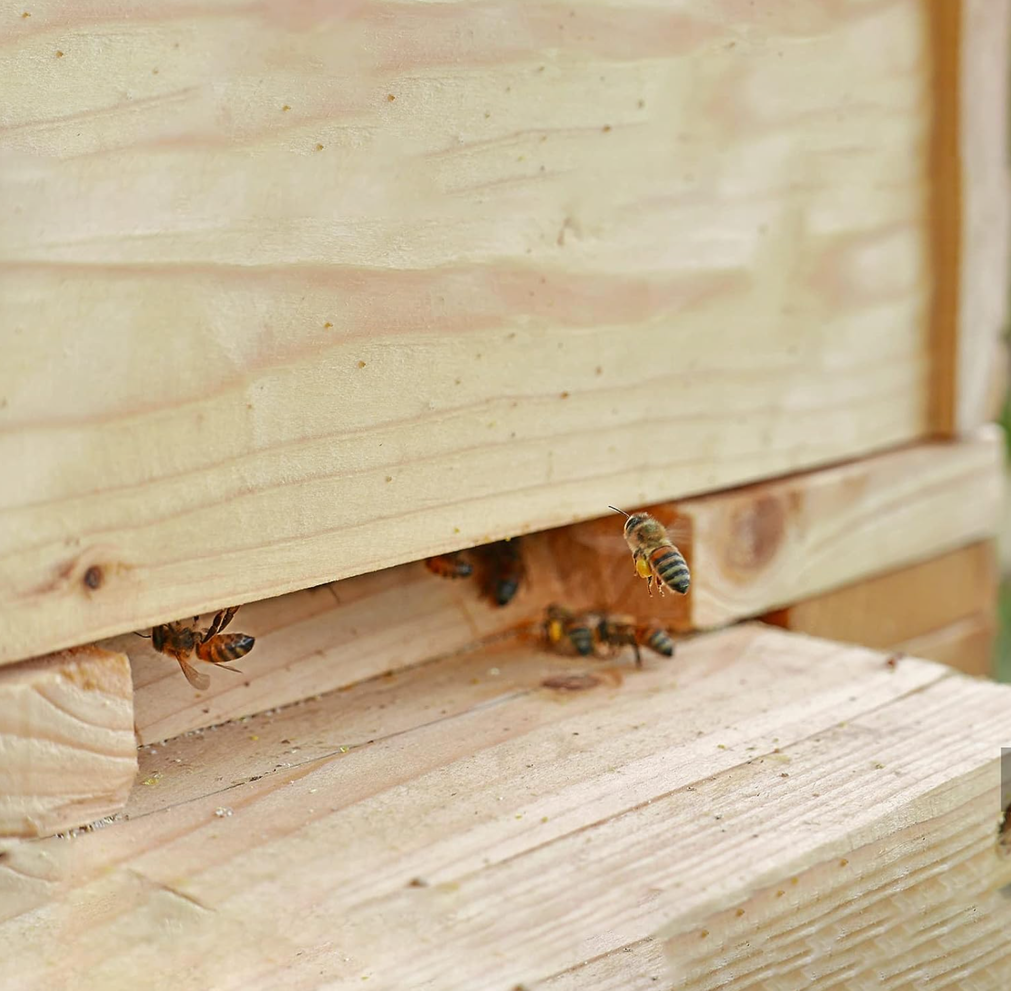 5 Pack Entrance Reducers For Langstroth Hives