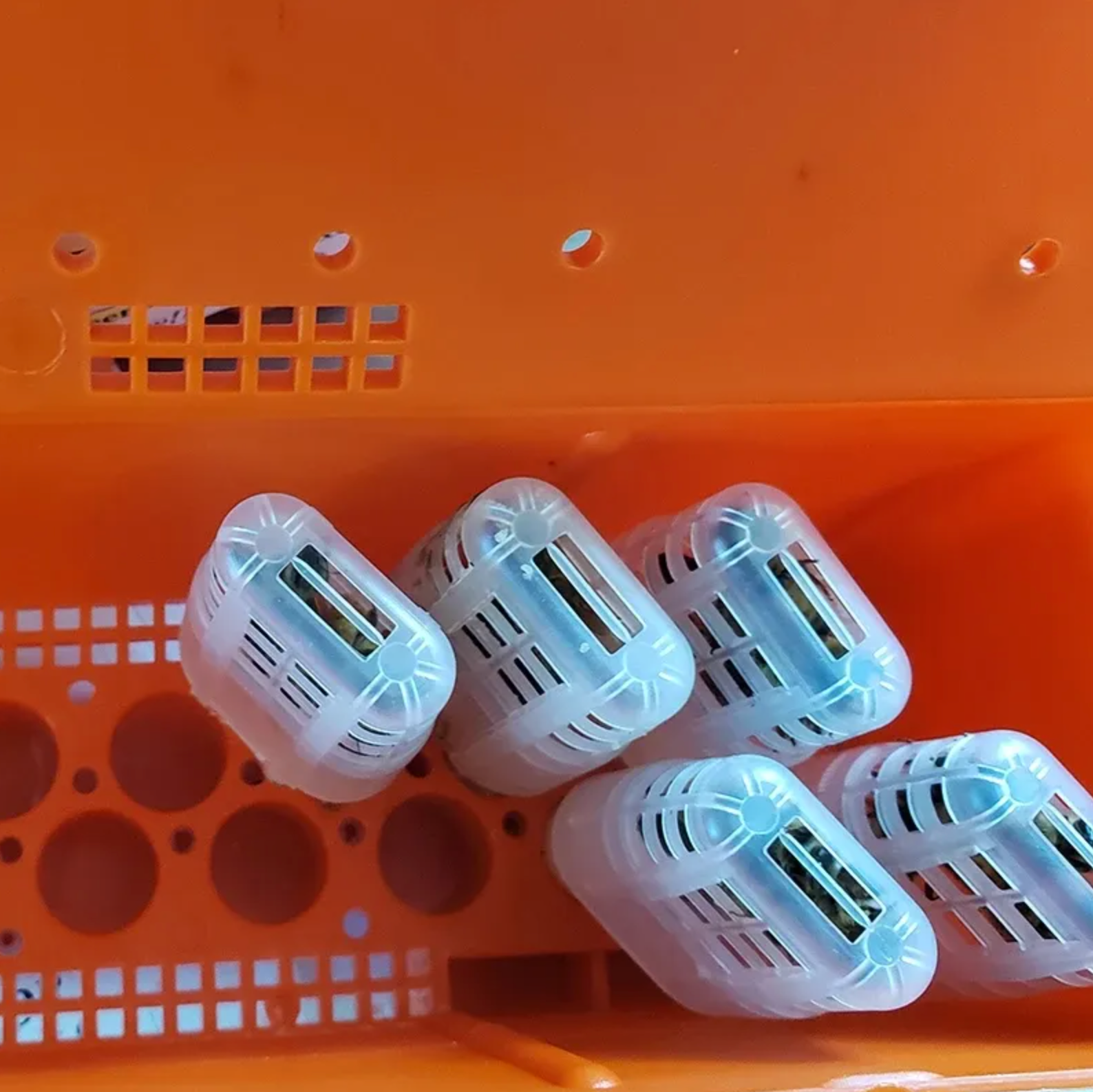 Battery Box For Queen Shipping - Single- Queen Cage not included