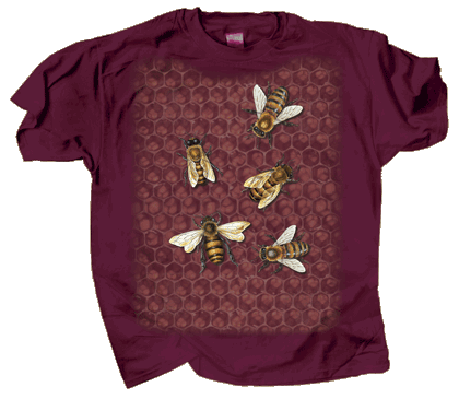 2X-Large