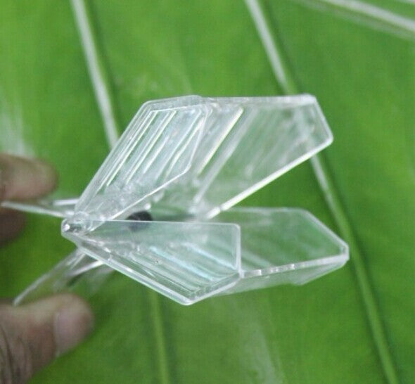Plastic Beekeeping Queen Clip