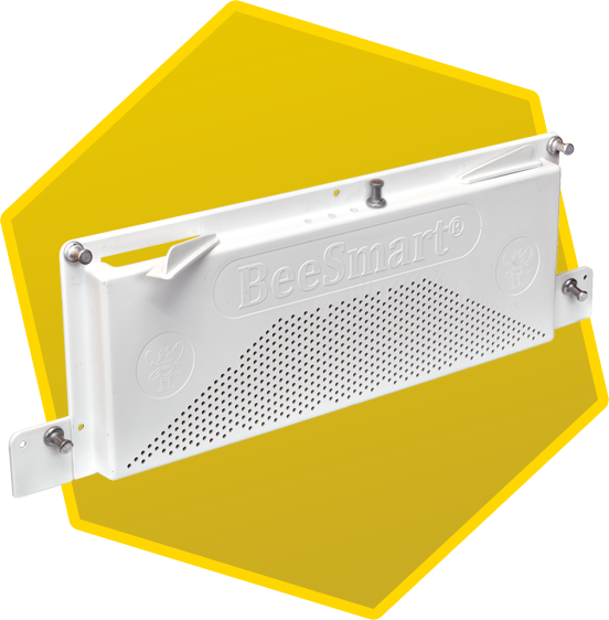 Bee Smart Ultimate Robbing Screen