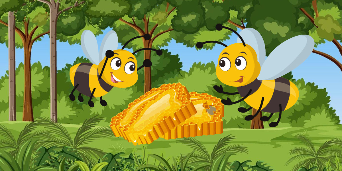 Beehive Splitting: Tips and Techniques for Success — Blythewood Bee Company