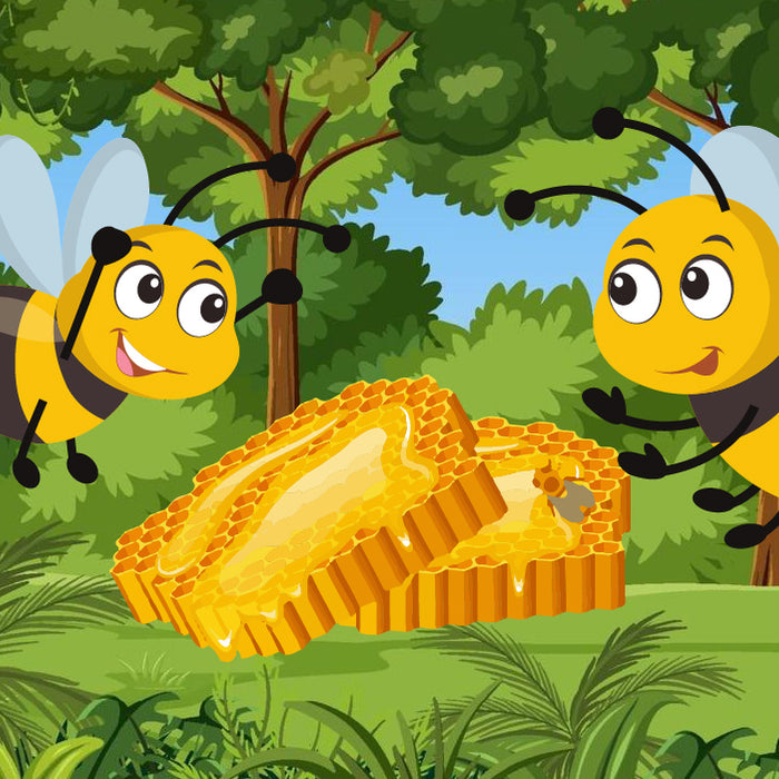 The Secrets of Successful Beehive Splitting