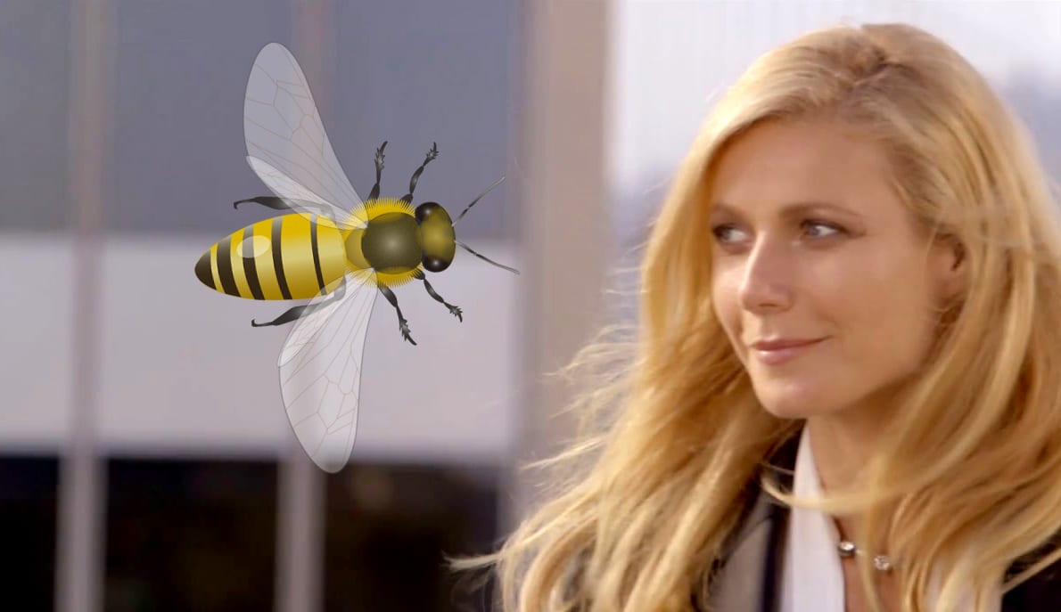 Gwyneth Paltrow, Charlemagne, and Bee Venom Masks