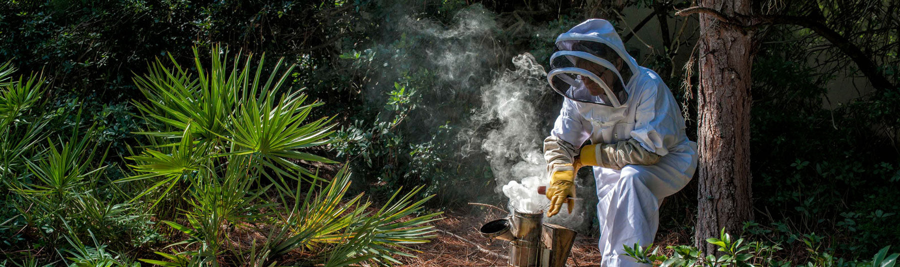 The Complete Guide to Beekeeping Smoker Fuel for Safe Inspections