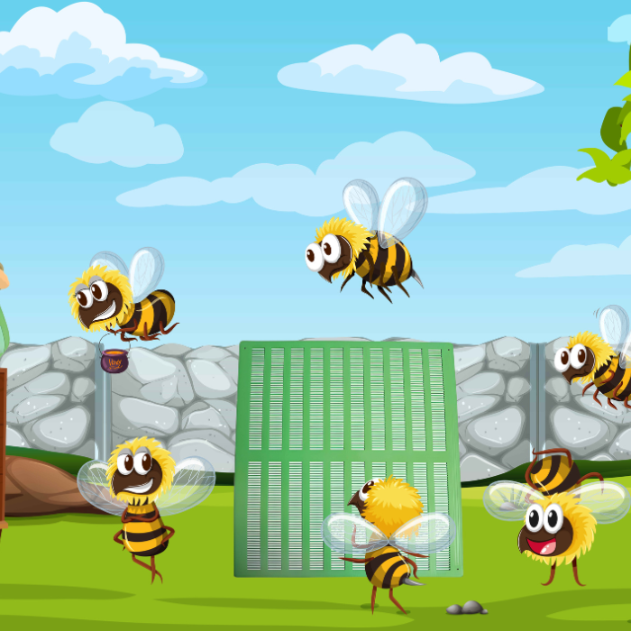 Beekeeping Basics: Propolis Trap 10 Frame