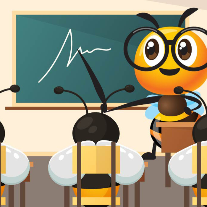 Beekeeping Education and Training