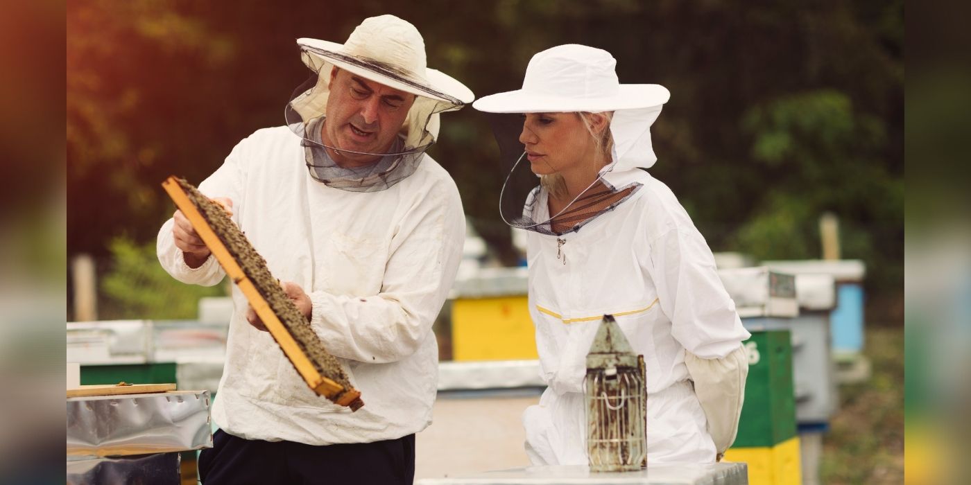 Education, Preparation, and Record-Keeping for a Bee Hive Inspection.