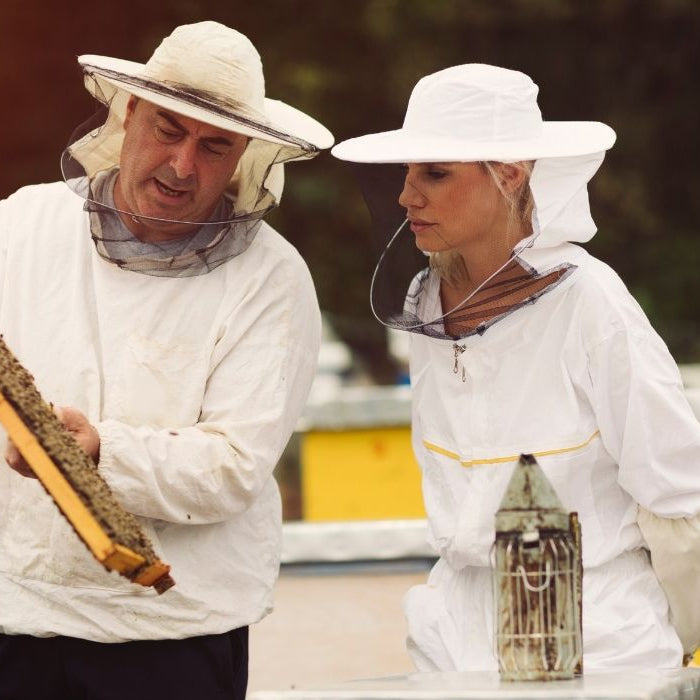 Education, Preparation, and Record-Keeping for a Bee Hive Inspection.