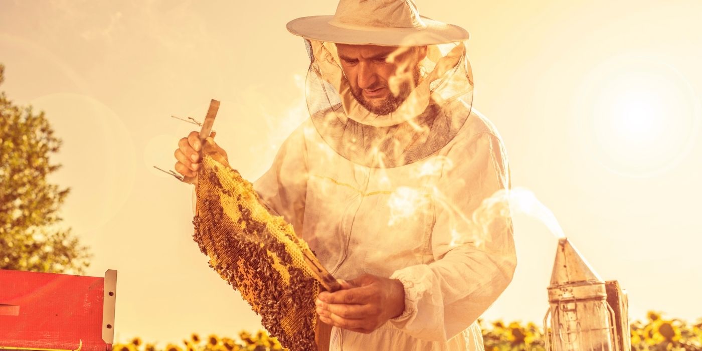 Keeping Hives Cool in the Heat