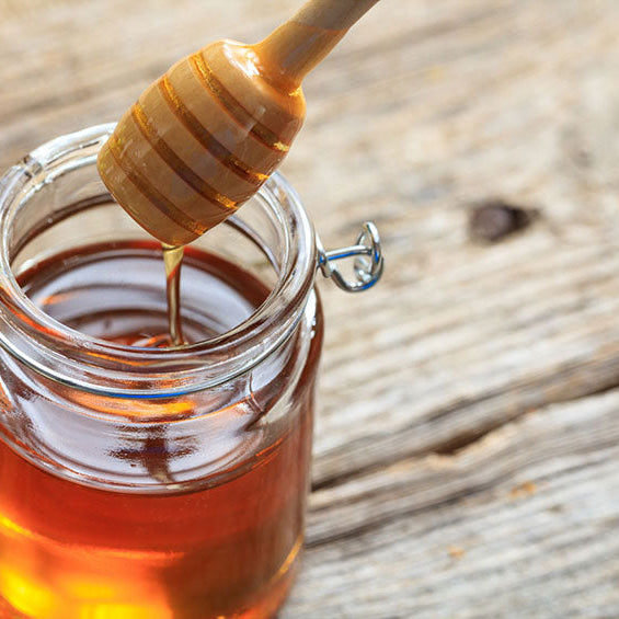 Glass vs Plastic Honey Jars: Which Is Best for Honey?