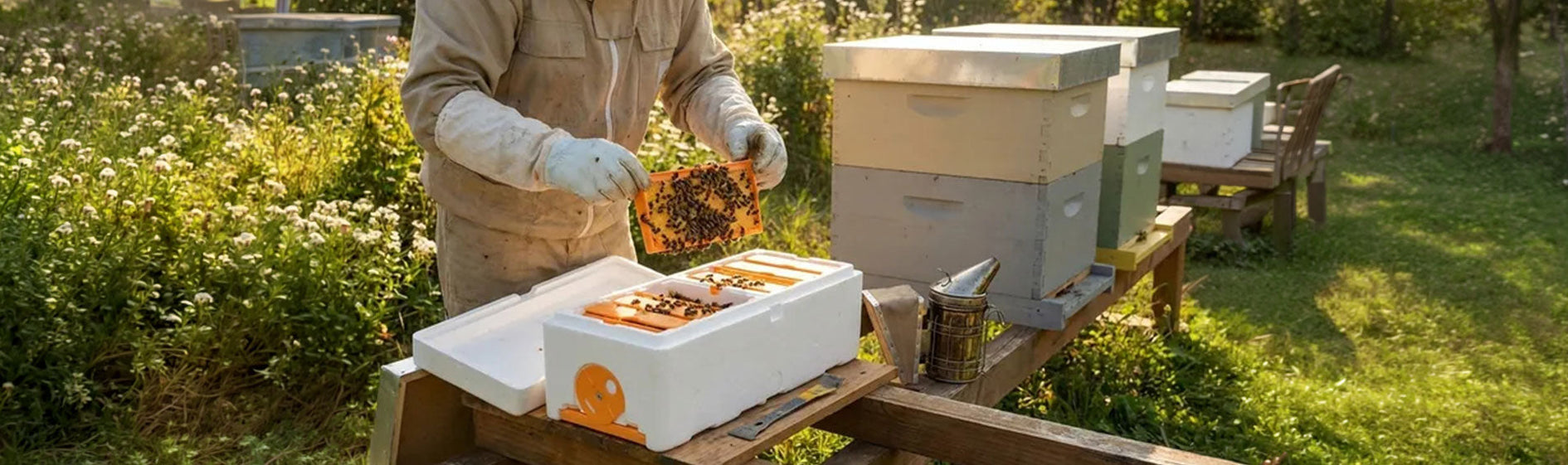 How to Build and Manage a Queen Mating Nuc — Blythewood Bee Company