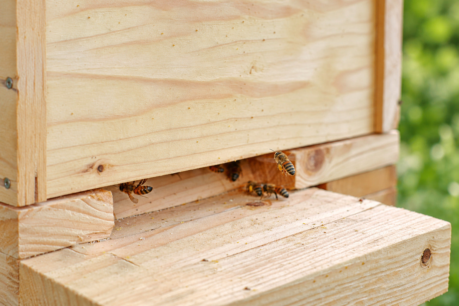 Beehive Entrance Reducers Explained: Sizing Them Right for Fall and Winter