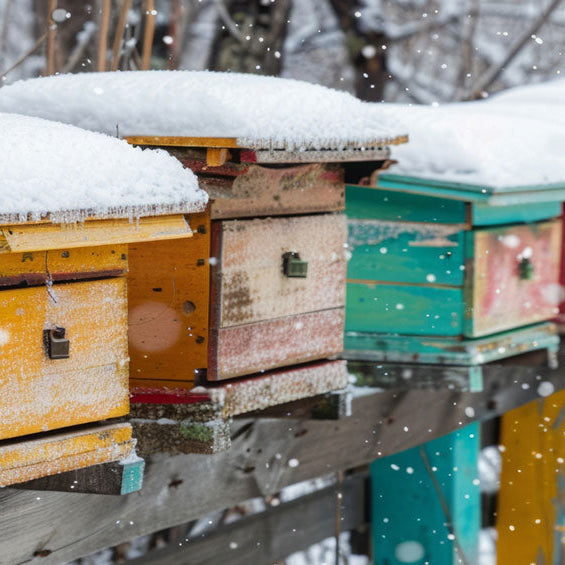 The Science of Fat Bees: Why Fat Bees Are the Secret to Overwintering Success