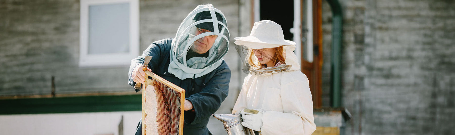 A Beginner’s Guide to Beekeeping: When to Start Your First Varroa Mite Treatment