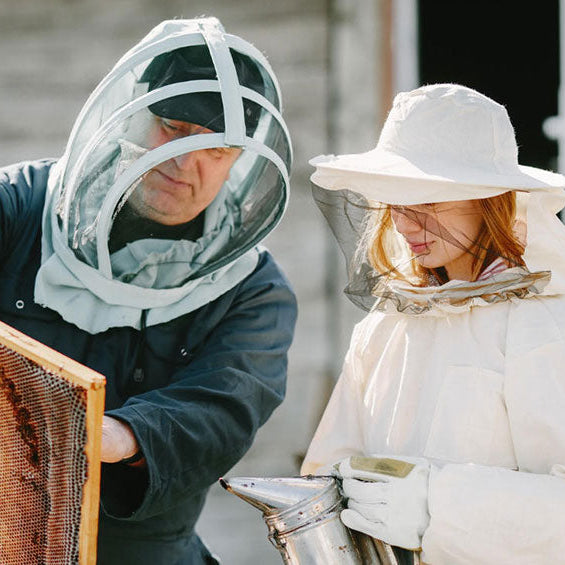 A Beginner’s Guide to Beekeeping: When to Start Your First Varroa Mite Treatment