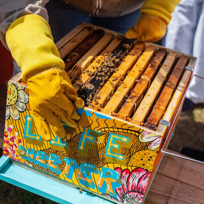 7 Best Practices for Beekeeping Tool and Equipment Maintenance
