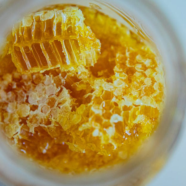 honey bear honey jar