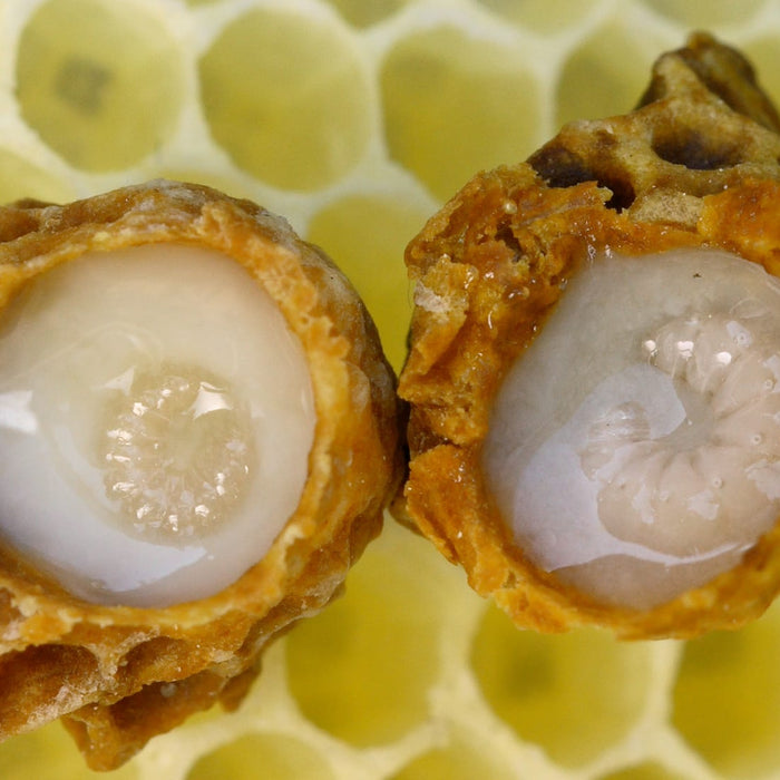 How Does Royal Jelly Make a Queen Bee?
