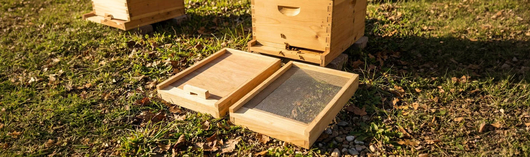 Beehive Bottom Board Guide: Is a Beehive Screened Bottom Board Better?