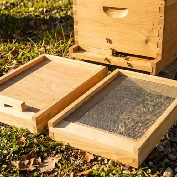 Beehive Bottom Board Guide: Is a Beehive Screened Bottom Board Better?