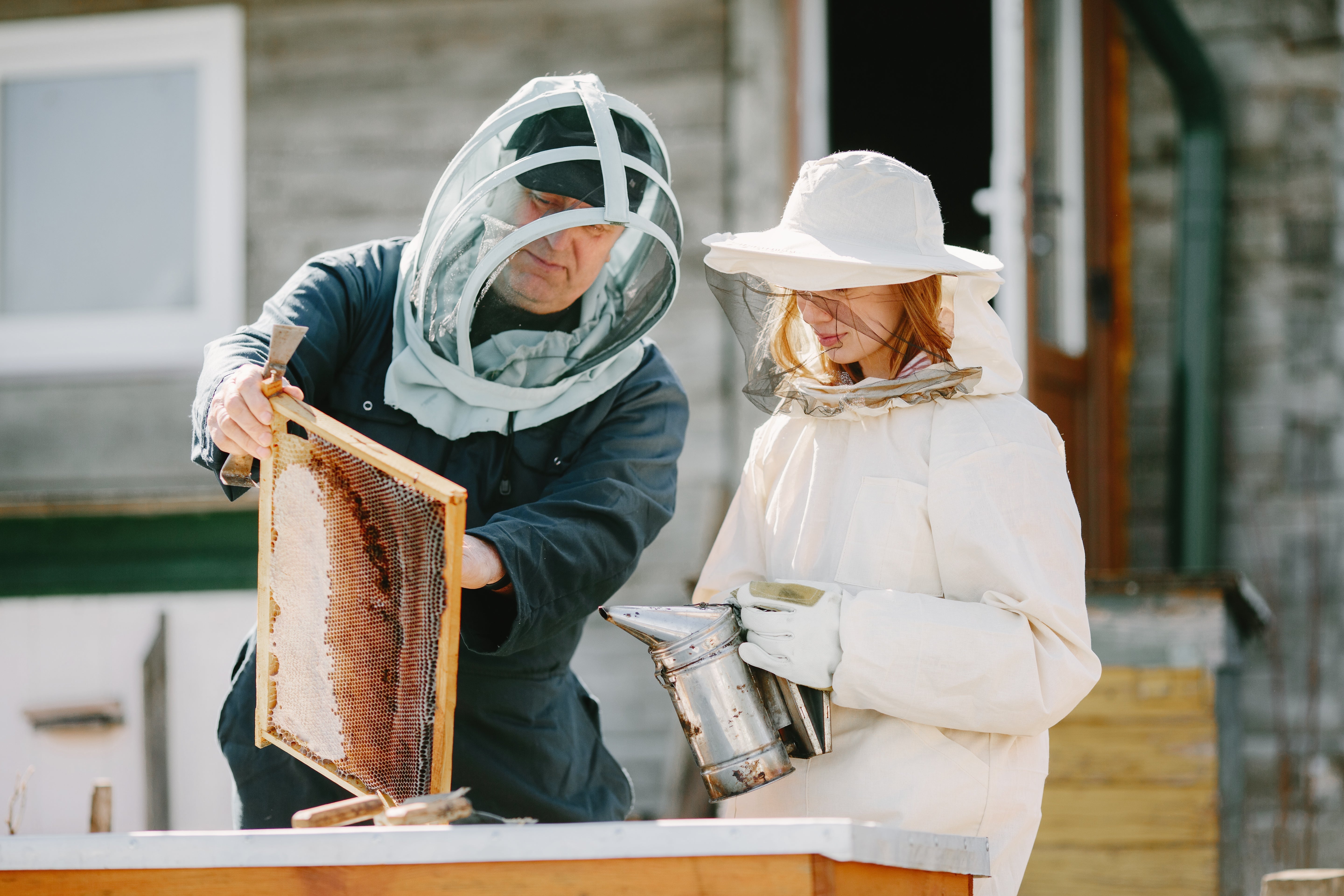 Start a Beekeeper Agency: Your Essential Success Guide — Blythewood Bee