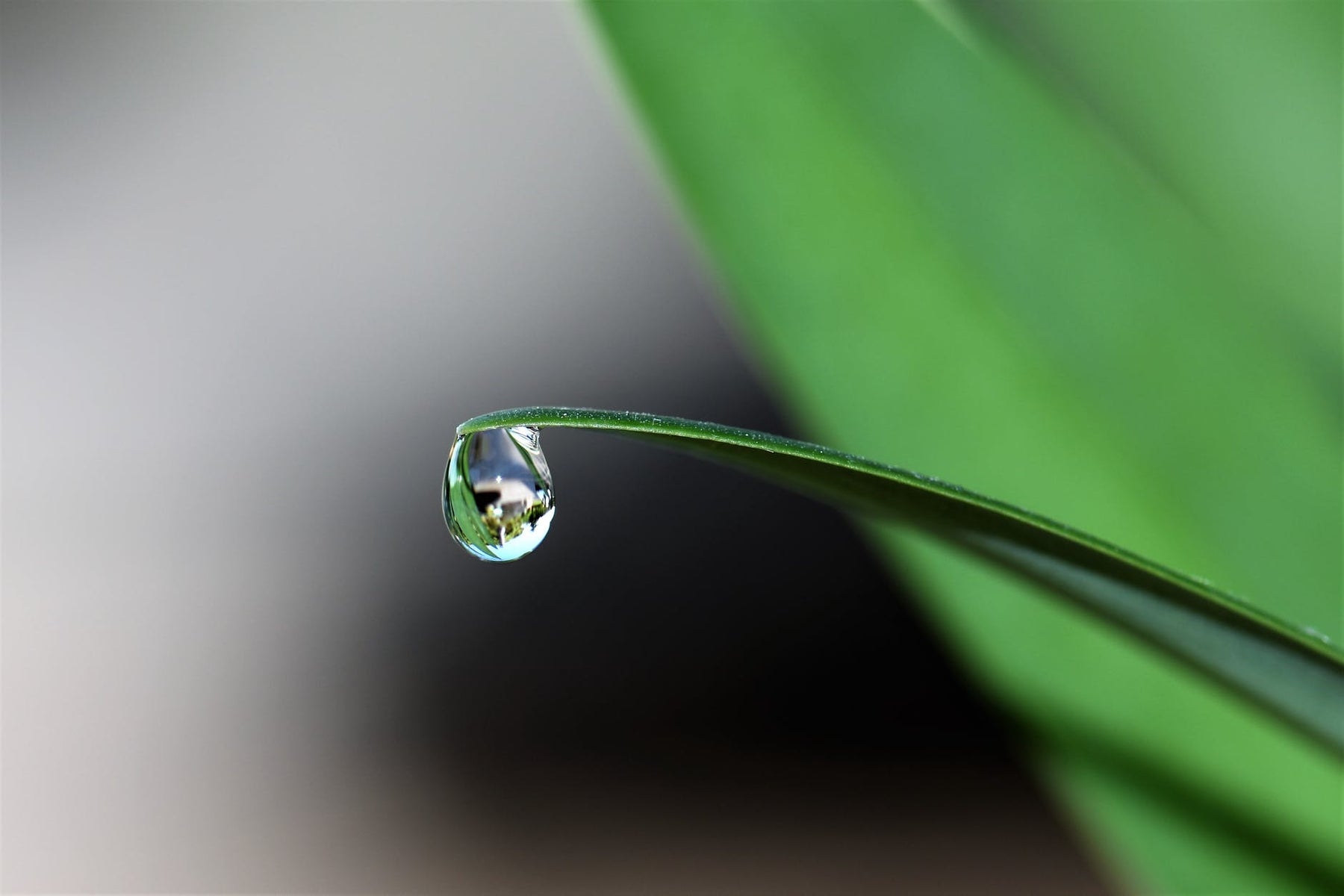 Innovative Watering Options for Backyard Beekeeping