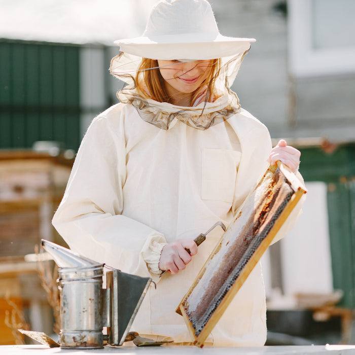 How to Buy Honey Bees