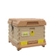 Ergo Insulated Single Brood Box Beehive Set - Blythewood Bee Company