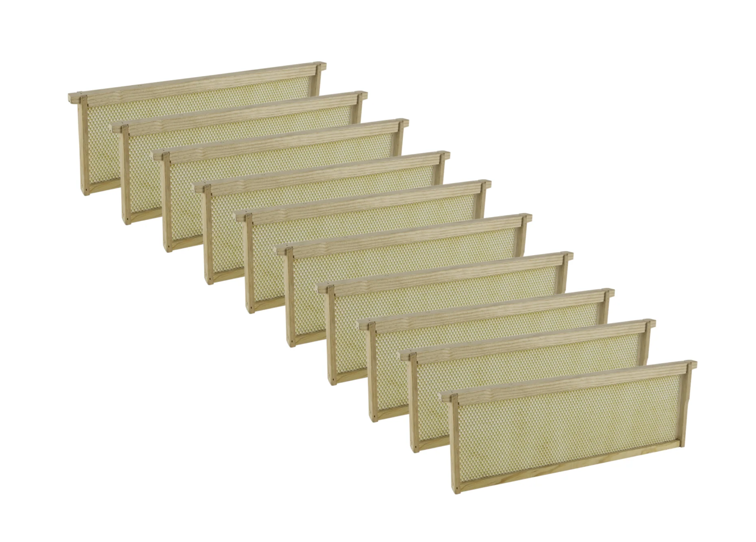 Assembled Medium Frames, Acorn, 10 Pack | Blythewood Bee Co