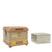 Ergo Insulated Single Brood Box Beehive Set - Blythewood Bee Company