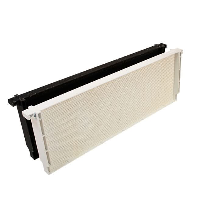 Acorn one-piece plastic frame, medium