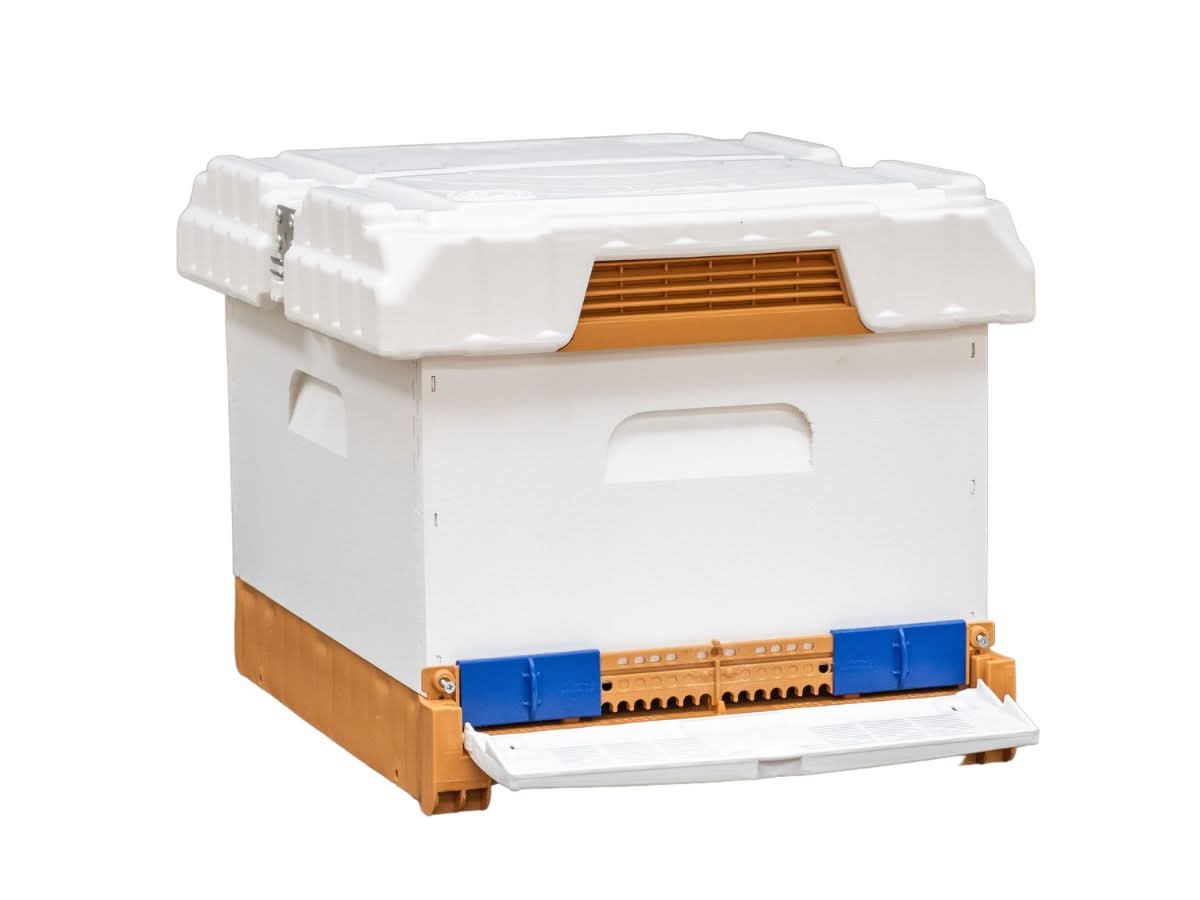 Apimaye Pura Fusion Hive - Single Brood - Blythewood Bee Company