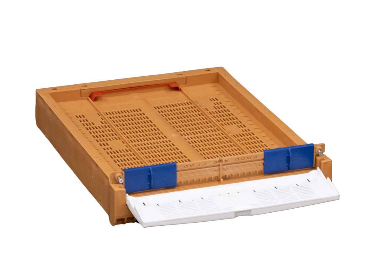 Apimaye Propola Fusion Hive - Single Brood