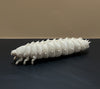 3D printed Small Hive Beetle Larva