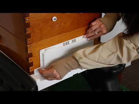 Robbing Screen Bee Smart Robbing Screen | Blythewood Bee Co — Blythewood Bee Company