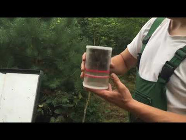 Varroa check with CO2 Dispenser